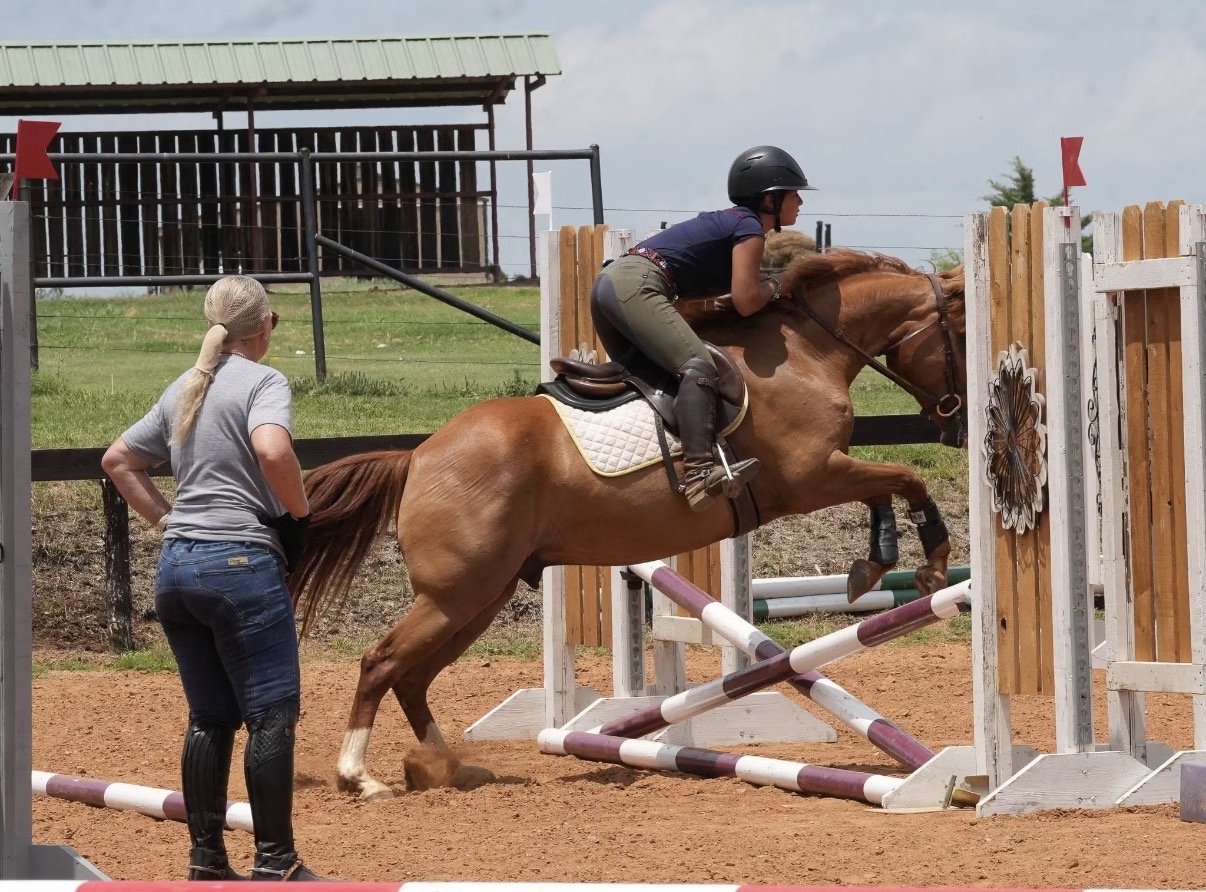 Horse training session
